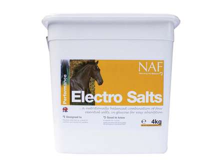 NAF ELECTRO SALTS ELEKTROLYTE 4kg