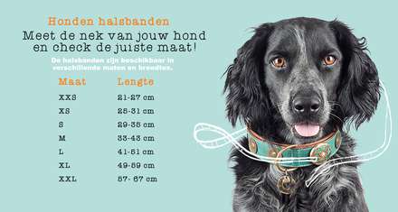 Vaardigheid Pas op Bezienswaardigheden bekijken dwam-honden-halsband-janis-2,5cm
