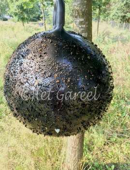 HORSE FLY TRAP BALL 45CM